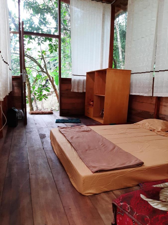 Bua Guesthouse Tangkahan Exterior photo